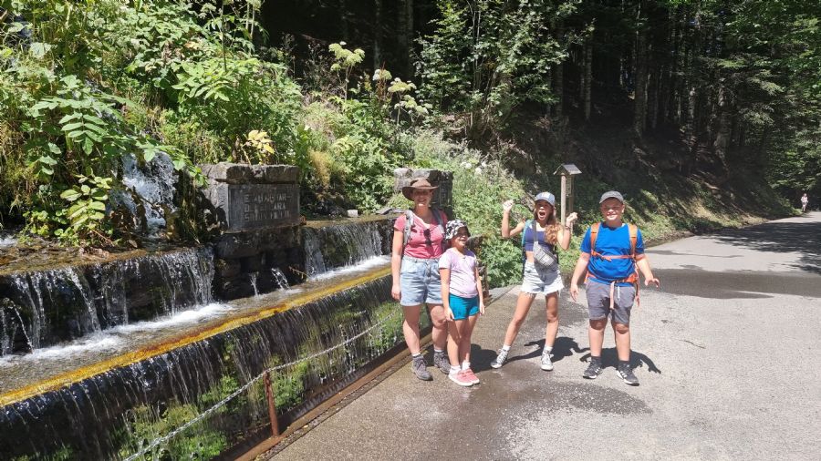 ארטיגה דה לין